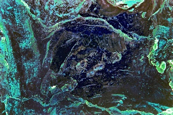 A 278D